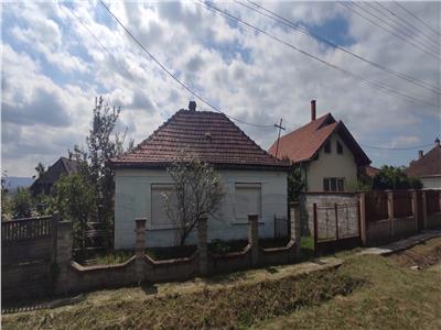 Casa si teren 21 de ari in Viile Satu Mare